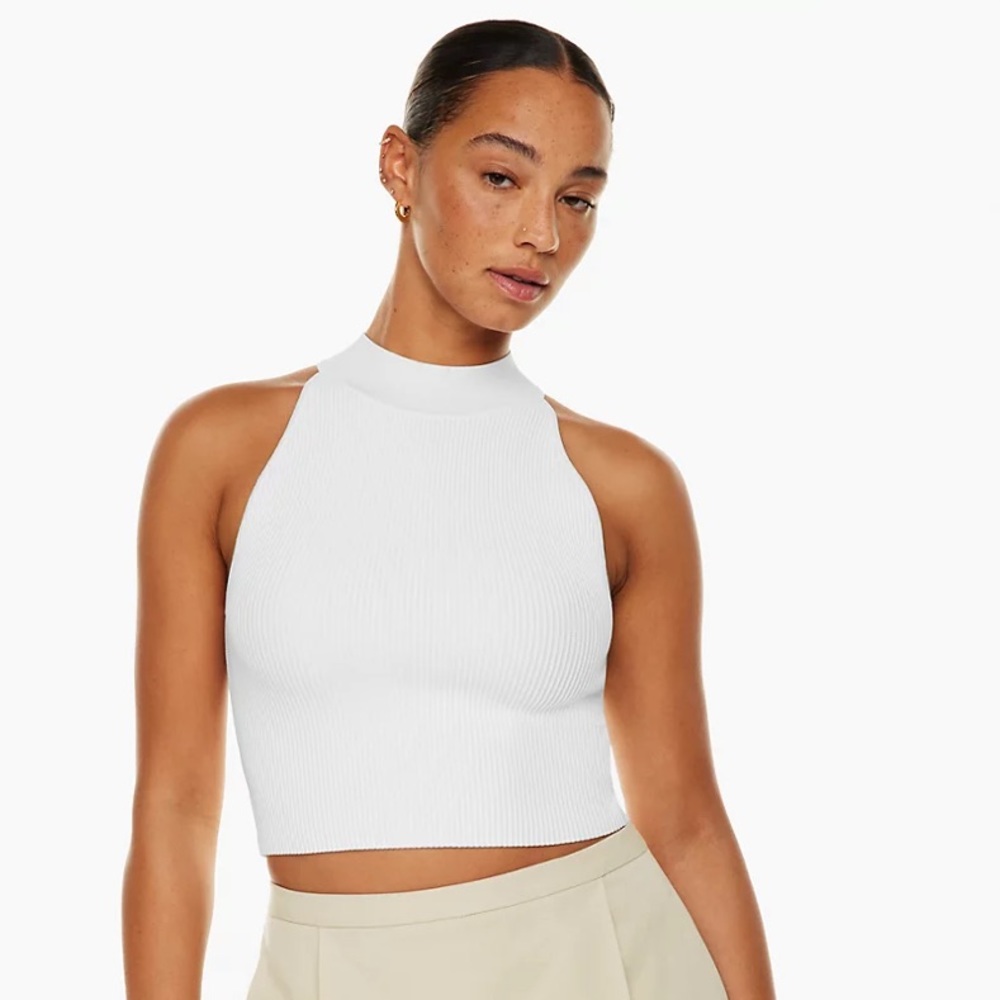 Aritzia Babaton
Sculpt Knit Mockneck Halter Top